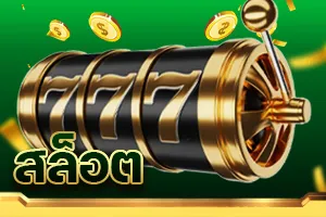 maqiplus